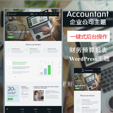 Accountant-財務企業公司wordpress模板,公司網站模板,html模板—多功能主題，強大后臺傻瓜式編輯wordpress主題